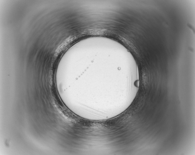 X0000100200682200806271642