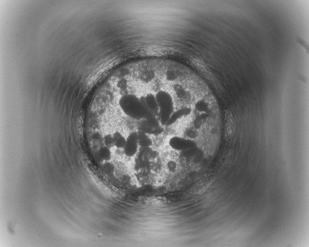 X0000100200683200806271642