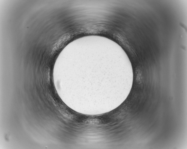 X0000100200685200806271642