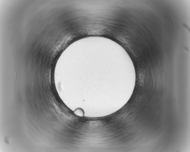 X0000100200686200806271642