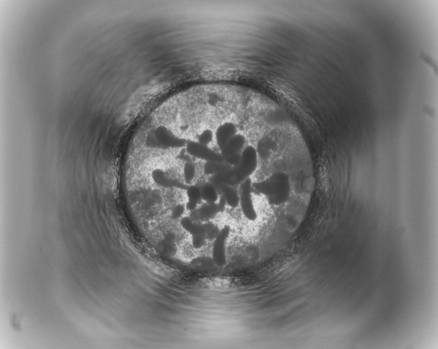 X0000100200687200806271642