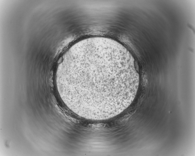 X0000100200688200806271642