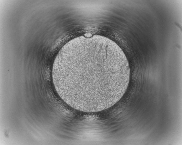 X0000100200689200806271642