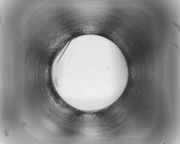 X0000100200690200806271642