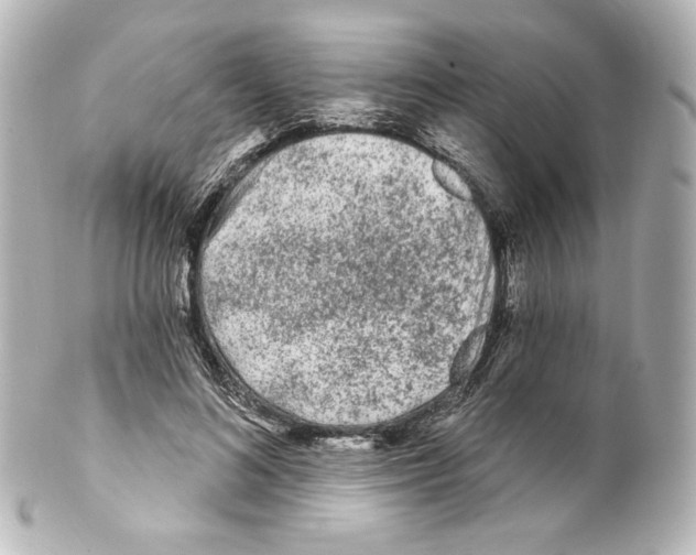 X0000100200692200806271642