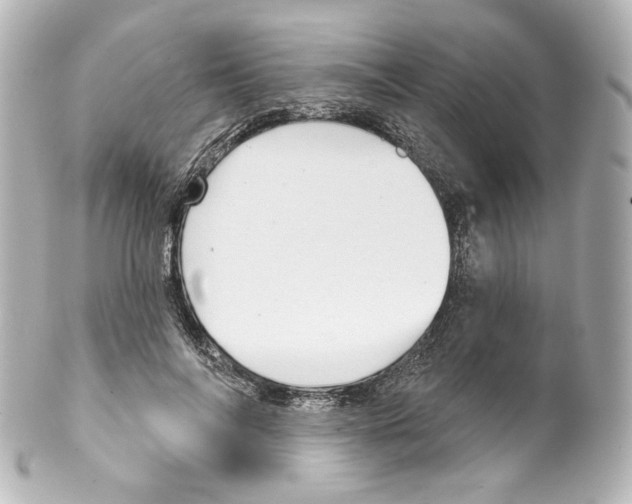 X0000100200694200806271642