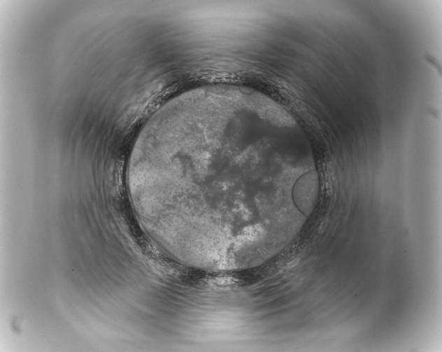 X0000100200695200806271642