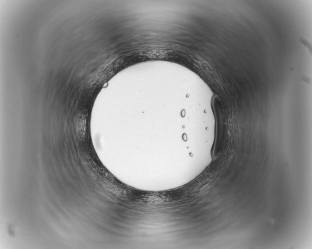 X0000100200697200806271642