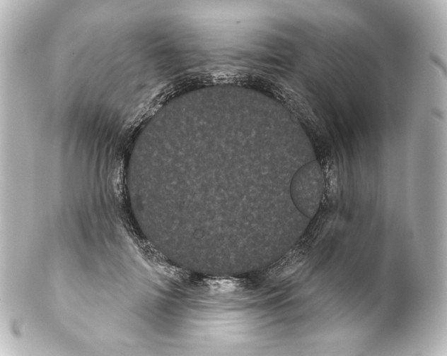 X0000100200698200806271642