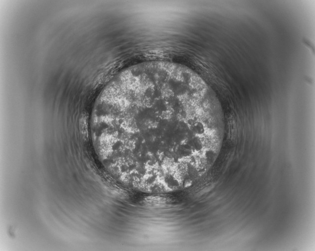 X0000100200699200806271642