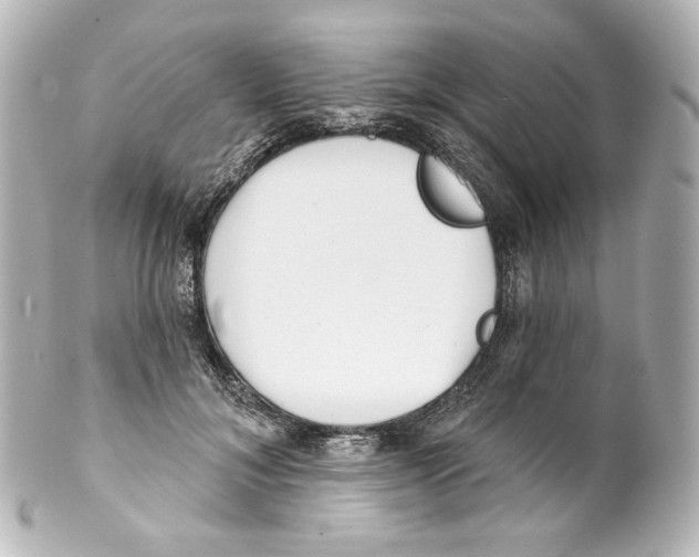 X0000100200700200806271642