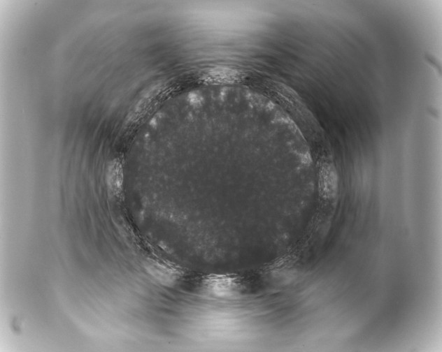 X0000100200701200806271642