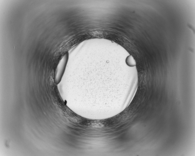 X0000100200702200806271642