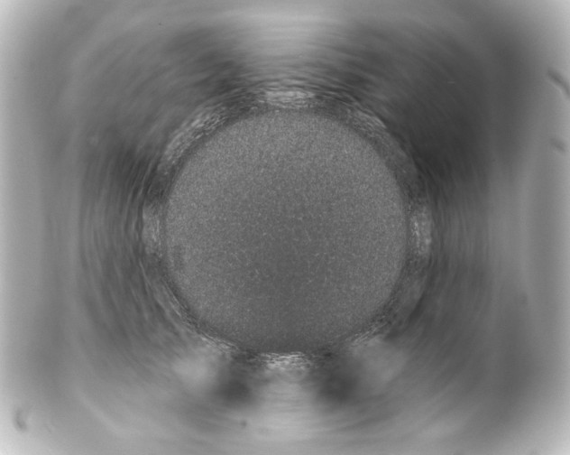 X0000100200705200806271642