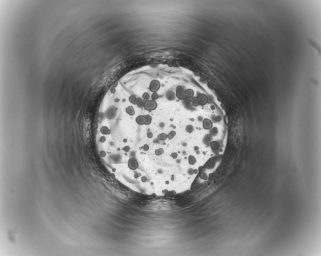 X0000100200708200806271642