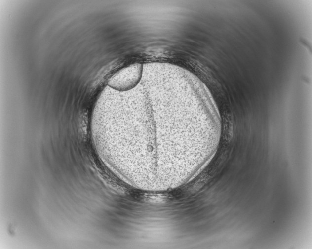 X0000100200710200806271642