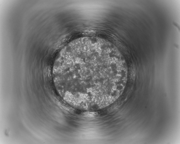 X0000100200711200806271642