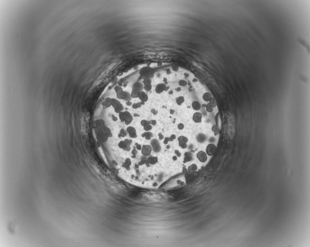 X0000100200712200806271642