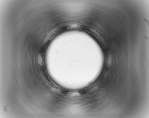 X0000100200715200806271642