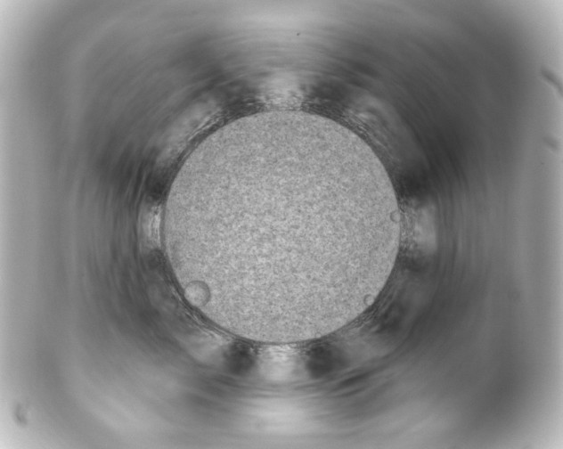 X0000100200717200806271642