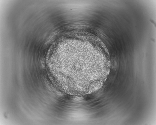 X0000100200718200806271642