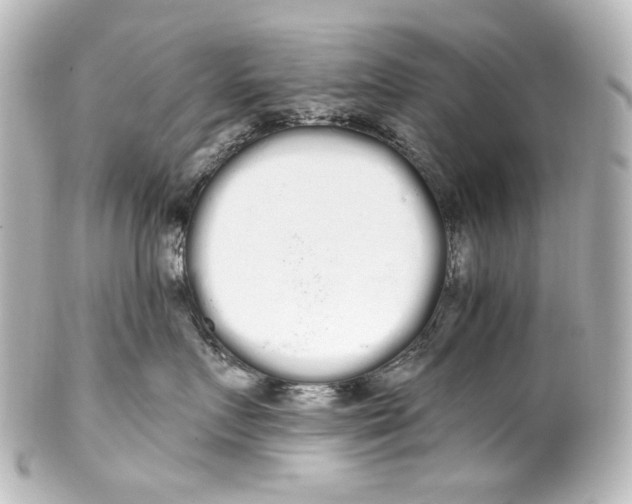 X0000100200719200806271642