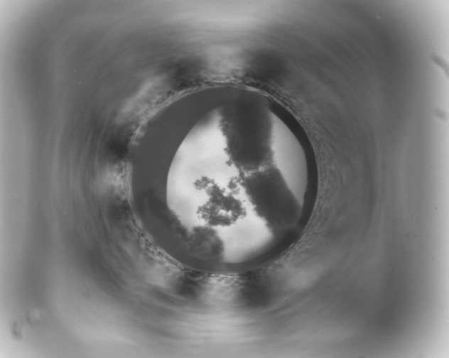 X0000100200720200806271642