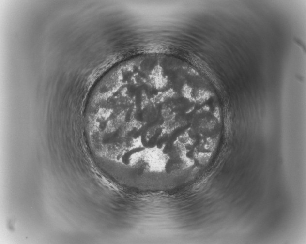 X0000100200721200806271641