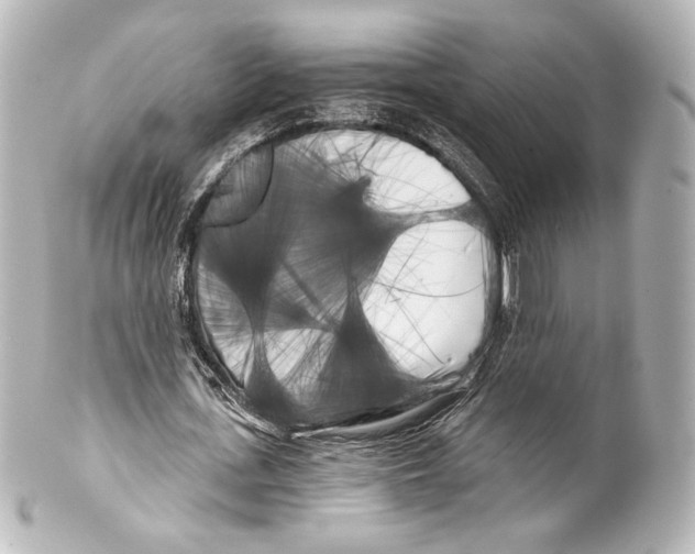 X0000100200723200806271641