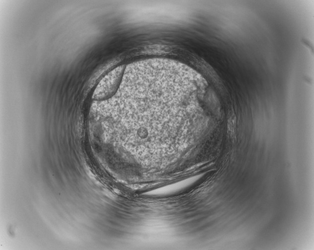 X0000100200724200806271641