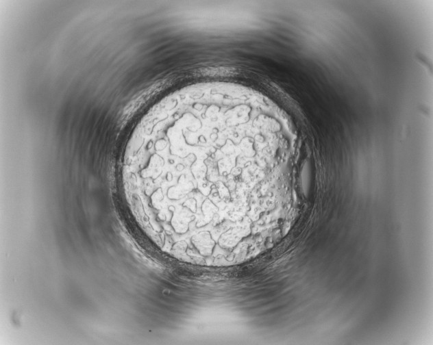 X0000100200725200806271641