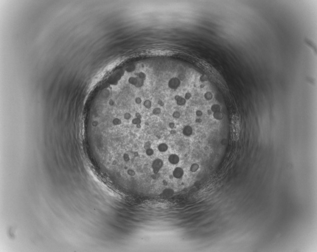 X0000100200726200806271641