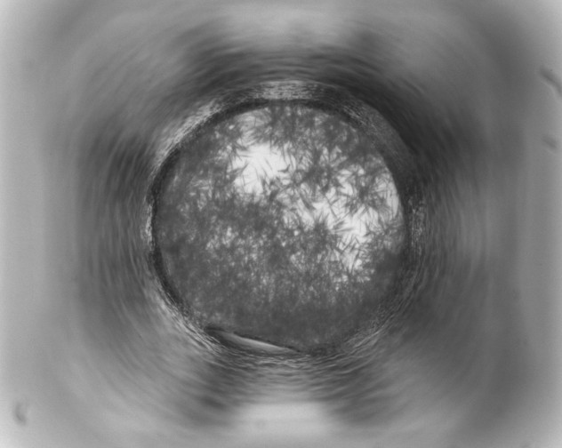 X0000100200727200806271641