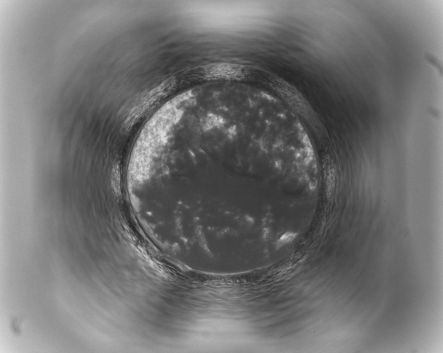 X0000100200729200806271641