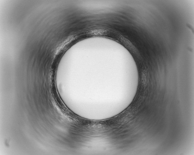 X0000100200730200806271641