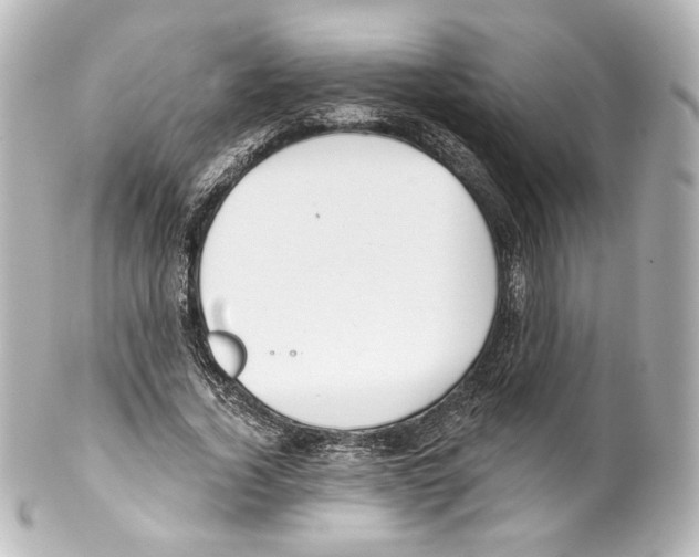 X0000100200732200806271641