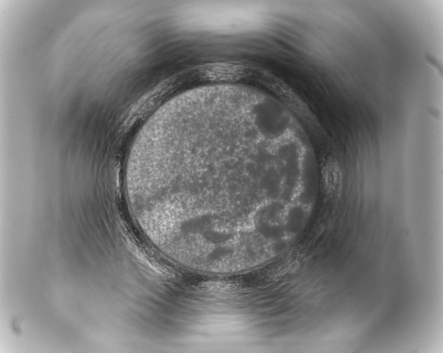 X0000100200733200806271641