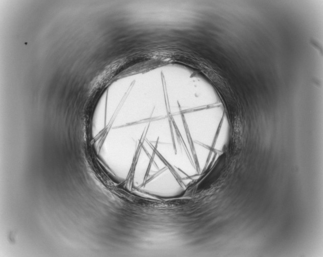 X0000100200734200806271641