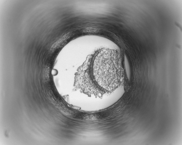 X0000100200735200806271641