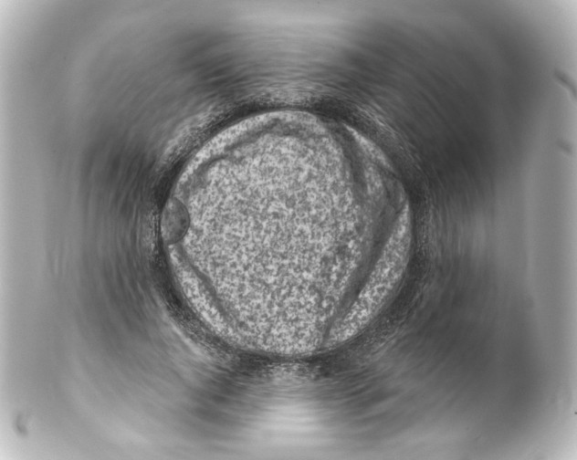 X0000100200736200806271641