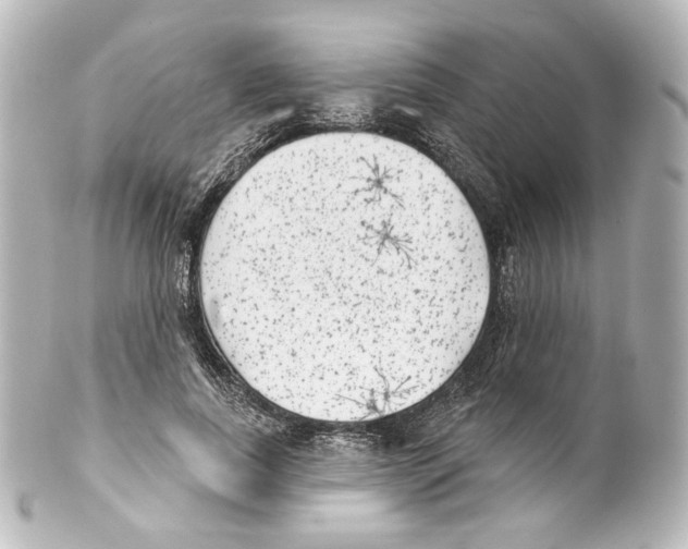 X0000100200739200806271641