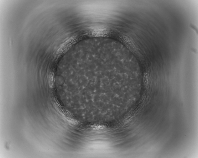 X0000100200741200806271641