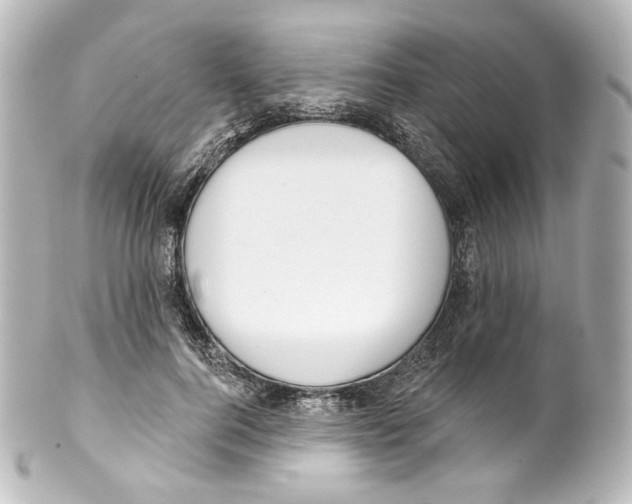 X0000100200744200806271641