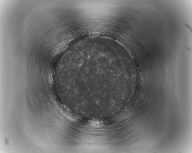 X0000100200746200806271641