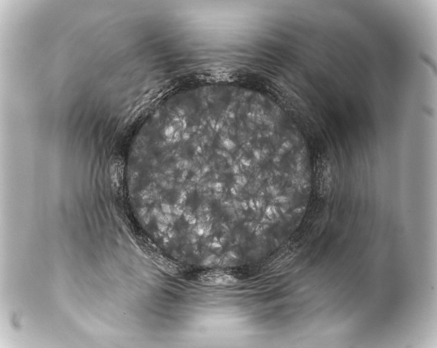 X0000100200747200806271641