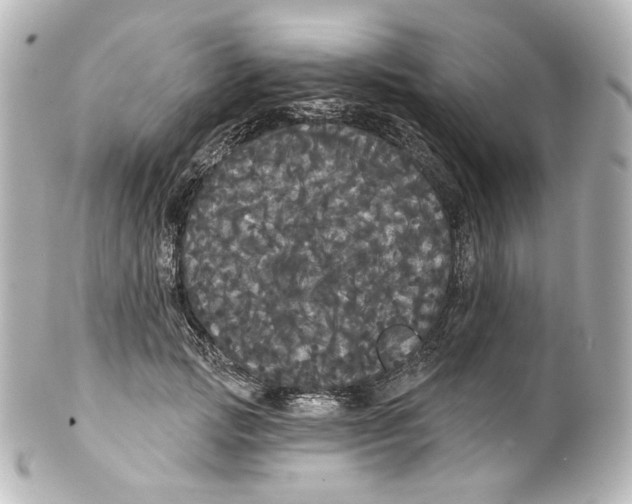 X0000100200749200806271641