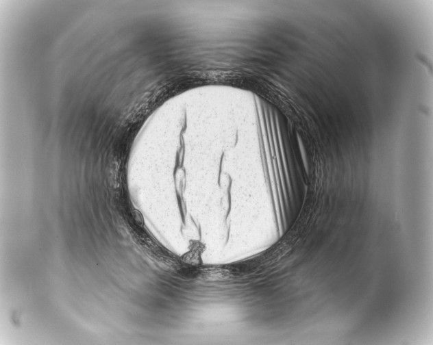 X0000100200750200806271641