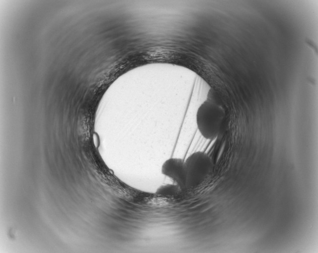 X0000100200751200806271641