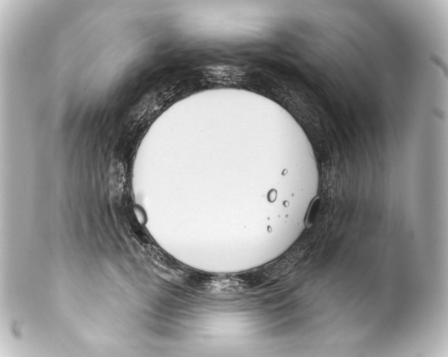 X0000100200752200806271641