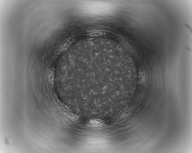 X0000100200753200806271641